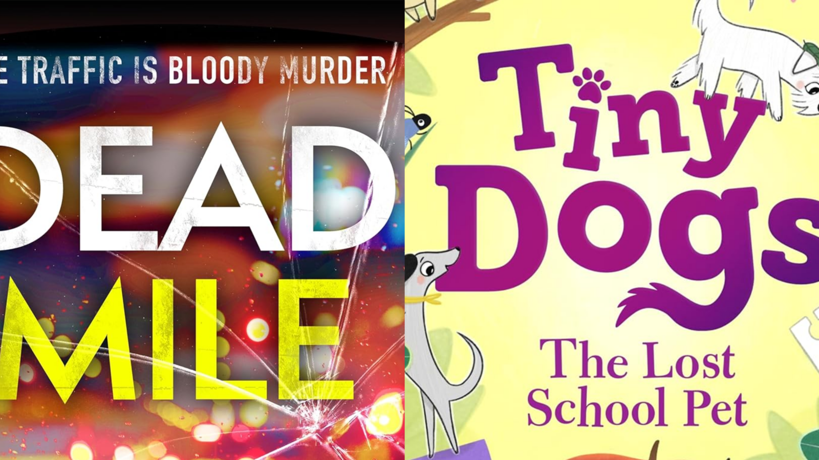 Blue Pink Gradient Fashion Banner